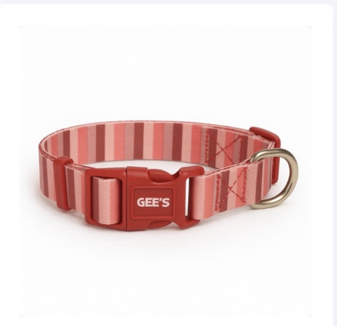 GEE'S PREMİUM KÖPEK BOYUN LARGE *6